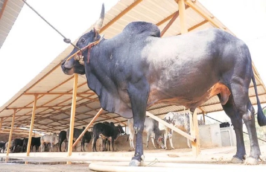 प्रतीकात्मक तस्वीर, फोटो सोर्स- इंडियन एक्सप्रेस