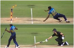 स्टम्प पर गेंद मारना भूल गए संदाकन, मनाने लगे स्मिथ के रनआउट का जश्न, Video देख हो जाएंगे लोटपोट