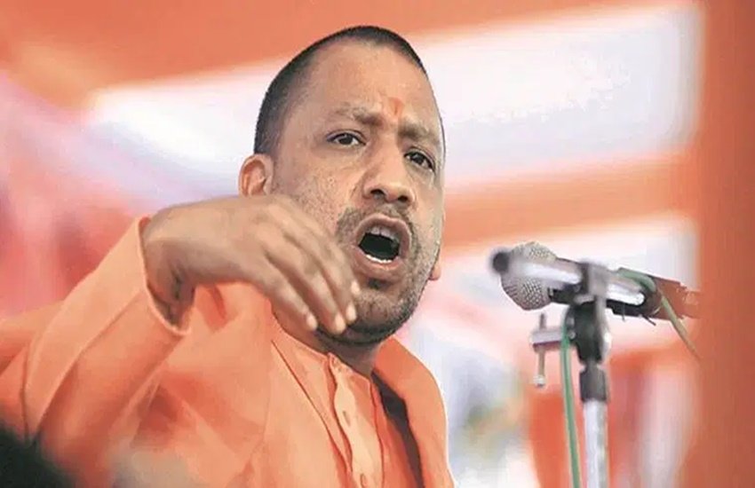 yogi