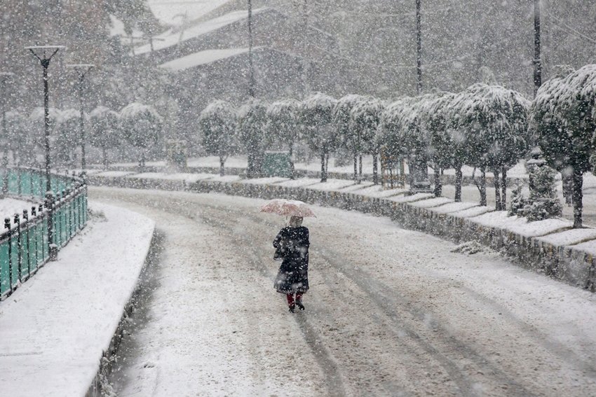 इस बर्फबारी के कारण हिमाचल और कश्मीर के सेब के किसानों को भी काफी नुकसान हुआ है।