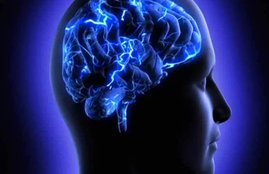 National Epilepsy Day 2019, Epilepsy meaning in Hindi, Epilepsy epilepsy diagnosis, मिर्गी, epilepsy treatment, epilepsy causes, epilepsy types, epilepsy symptoms, epilepsy seizure, epilepsy triggers