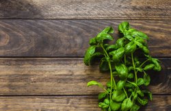 Tulsi benefits: डायबिटीज और किडनी स्टोन जैसी कई बीमारियों में फायदेमंद है तुलसी, जानिए 20 फायदे