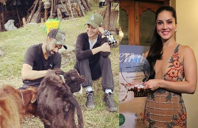 PETA ने विराट कोहली को चुना पर्सन ऑफ द ईयर, अनुष्का शर्मा और सनी लियोनी को पहले ही मिल चुका है यह सम्मान