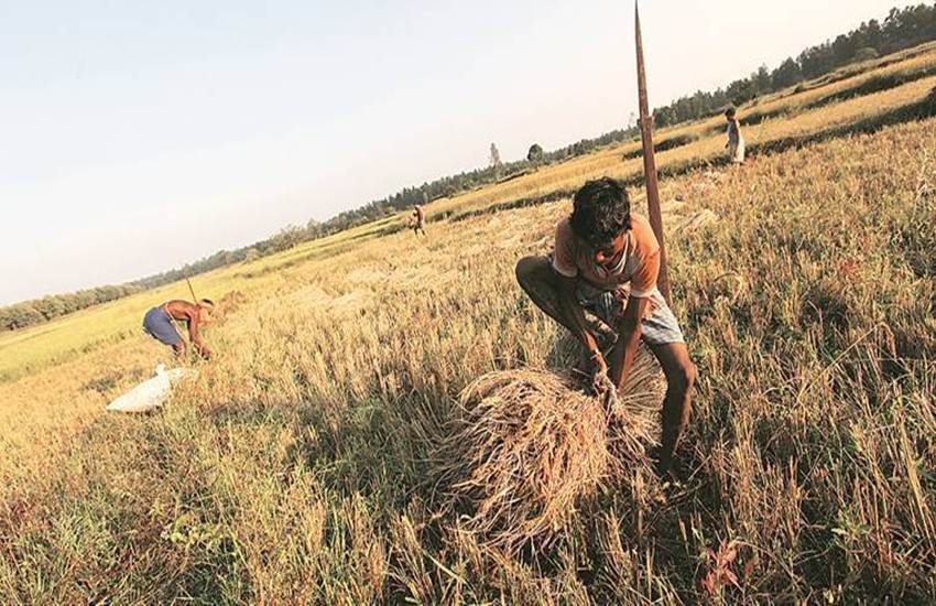 इस तस्वीर का इस्तेमाल प्रतीकात्मक रूप में किया गया है। (फाइल फोटो सोर्स: द इंडियन एक्सप्रेस)
