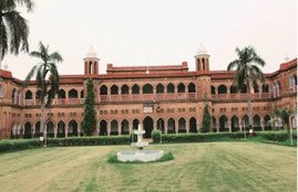 vc, aligarh muslim university