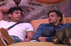 Bigg Boss 13, 14 November Written Update Episode: दोस्ती में पड़ी दरार, सिद्धार्थ शुक्ला और आसिम के बीच आई हाथापाई की नौबत