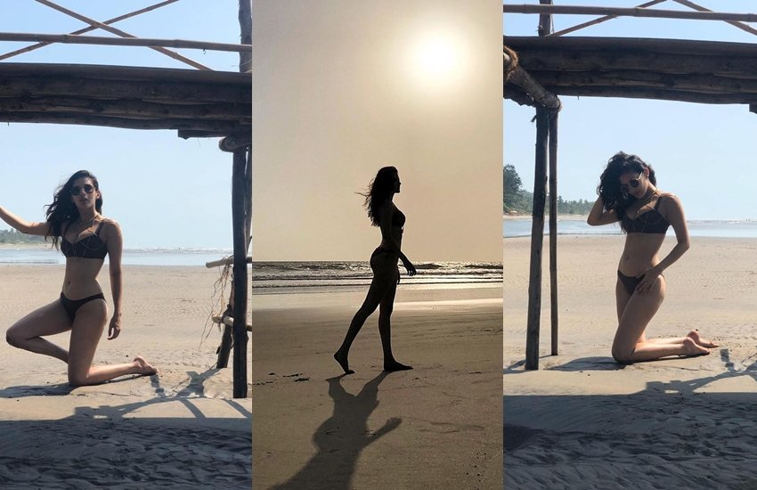 एक्ट्रेस अमायरा दस्तूर इन दिनों सोशल मीडिया में छाई हुई हैं। उनकी कुछ तस्वीरें तेजी से वायरल हो रही हैं। इन तस्वीरों को उनके फैंस काफी पसंद कर रहे हैं। अमायरा बॉलीवुड और टॉलीवुड के अलावा मॉडलिंग में काफी व्यस्त रहती हैं। इसके बावजूद भी वह सोशल मीडिया में काफी एक्टिव हैं। आए दिन वह अपनी तस्वीरें शेयर करती रहती हैं। अमायरा के सिर्फ इंस्टाग्राम पर ही लगभग 20 लाख फॉलोअर्स हैं। अमायरा के फैंस के बीच उनकी लेटेस्ट तस्वीरें खूब पॉपुलर हो रही हैं। इन तस्वीरों में अमायरा ब्लैक बिकिनी में दिख रही हैं। (All Pics: @amyradastur93/Instagram)