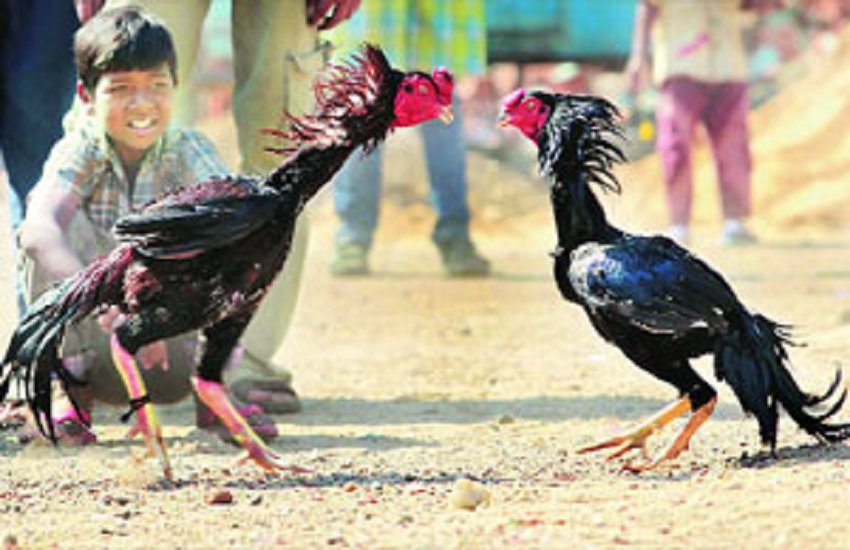 प्रतीकात्मक तस्वीर, फोटो सोर्स- इंडियन एक्सप्रेस