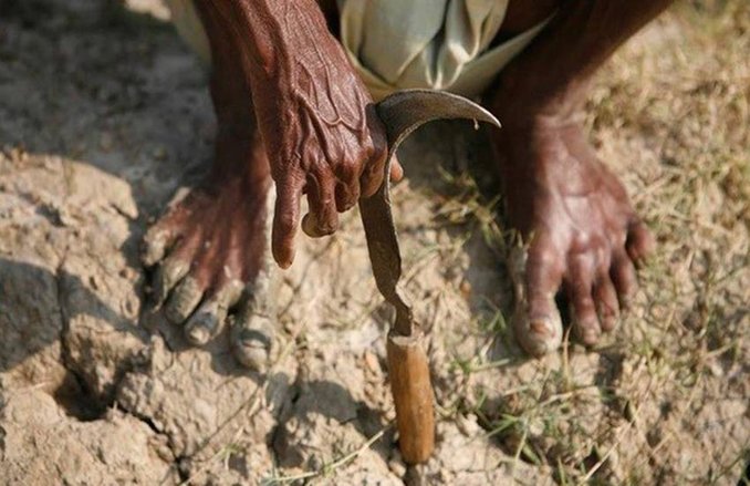 दो साल से हजारों किसानों को नहीं मिला कृषि बीमा क्लेम से एक भी पैसा, इंश्योरेंस कंपनी ने लौटा दिए प्रीमियम, हाईकोर्ट पहुंचा मामला