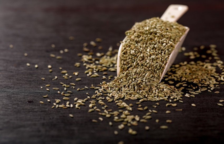 Health Benefits of Fennel, Health Benefits of Fennel in Hindi, Benefits of Fennel for Eyesight, fennel seeds benefits and side effects, fennel seeds benefits for skin, fennel seeds side effects, fennel seeds tea, how to eat fennel seeds, fennel seeds benefits weight loss, how to use fennel seeds, health properties of fennel seeds, health benefits of eating fennel seeds