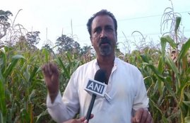 KARNATAKA