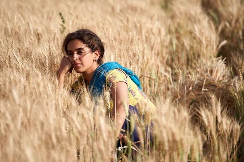 पटाखा: विशाल भारद्वाज की फिल्म पटाखा में एक्ट्रेस सनाया मल्होत्रा ने राजस्थान के एक छोटे से गांव की लड़की का किरदार निभाया था। फिल्म में सनाया के कलर को सांवला दिखाया गया था।