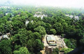 lutian delhi