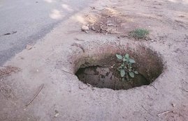 punjab