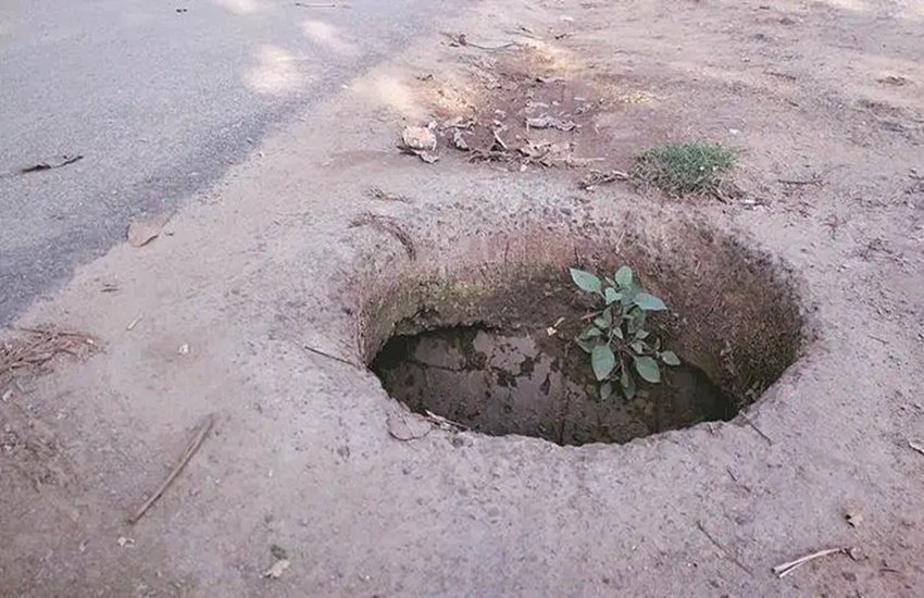 punjab