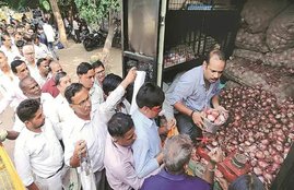 onion price