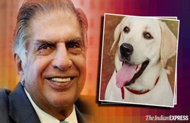 ratan tata
