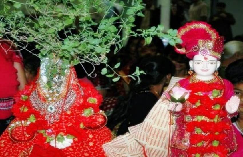 tulsi vivah 2019, tulsi vivah puja vidhi, tulsi vivah puja muhurat, tulsi vivah puja time 2019, tulsi vivah puja samagri, tulsi vivah puja mantra, tulsi vivah puja, tulsi vivah puja time, tulsi vivah puja mantra, tulsi vivah puja muhurat, tulsi vivah puja aarti, tulsi vivah puja procedure, tulsi vivah puja time 2019