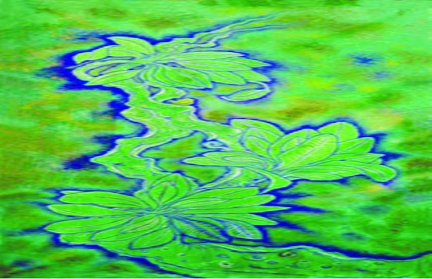 उद्भ्रांत