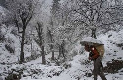 Weather: कड़ाके की ठंड से UP बेहाल, 2 दिन बंद रहेंगे स्कूल-कॉलेज; शीत लहर की चपेट में उत्तर भारत