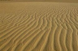 बाप-बेटी ने महिला को अगवा कर कई दिनों तक किया रेप, दफन होने के लिए रेत में छोड़ भागे