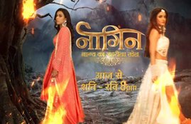 Naagin 4, naagin 4 nia sharma, Naagin 4 on Colors tv, Naahin 4 14 December Preview, Naagin 4 1st Episode, nia sharma, jasmin bhasin, naagin 4 story, Naagin 4 14 December Preview Online Epiosde, 1st Episode of Naagin 4, Naintara, Brinda, Ekta Kapoor Show Naagin 4, entertainment news, Bollywood News, Television News