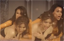 Naagin 4, Naagin 4 29 December 2019, Naagin 4, Naagin 4 29 December 2019 Written Episode , Naagin 4 upcoming Episode, Naagin 4 on Colors, Naagin 4 29 December 2019, Nia Sharma, Brinda, Nayantara, Jasmin Bhasin, Naagin Nayantara, Naagin 4 News Episode, Brinda Save Nayntara, Naagin Saves Brinda Life, Big Twist in Naagin 4, Naagin Come Back, entertainment news, bollywood news, television news