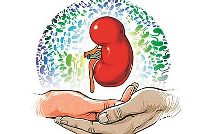 अंगदान के मामलों में देश की राजधानी दिल्ली बेहतर स्थिति में है वहीं जनसंख्या के लिहाज से उत्तर प्रदेश और बिहार अभी भी पीछे हैं। 