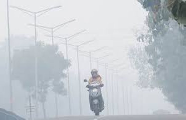 Weather forecast Today: उत्तर भारत में घना कोहरा और शीतलहर से कड़ाके की ठंड, जानिए अपने क्षेत्र के मौसम का हाल