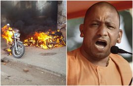 YOGI