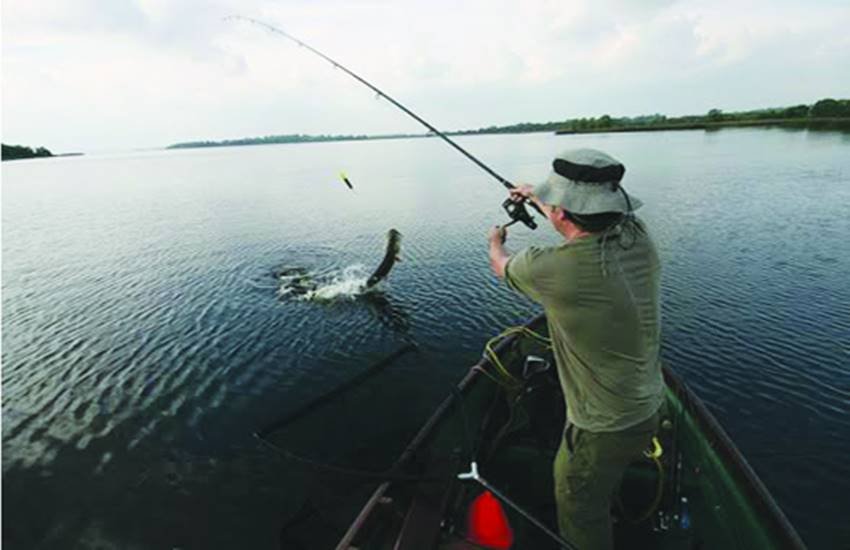 छतविहीन लोग आवासहीन हैं और रोजगार-विहीन जीवन जीने को अभिशप्त हैं।