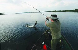 परेशानियों के बरक्स