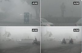 delhi