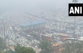 new delhi