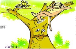 कविता: कहे मेरा मन