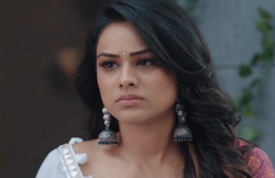 Naagin 4 29 December 2019 Written Episode: बृंदा पर टूटा मुसीबतों का पहाड़, नागिन के सबसे बड़े राज से उटने वाला है पर्दा