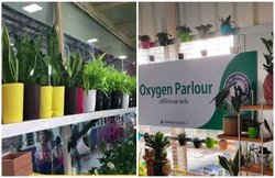 Indian Railways ने शुरू किया Oxygen Parlor, बिना किसी सिलेंडर के यात्रियों को दी जा रही तरोताजा हवा; ऐसे बनाया सेटप