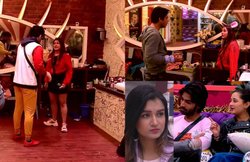 Bigg Boss 13, Written Update, 17 December: टीम के फैसले से गुस्साई शेफाली बग्गा ने कैप्टेंसी टास्क बिगाड़ा, शहनाज पर भड़की रश्मि