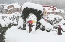 kashmir