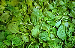 Spinach Benefits: डायबिटीज कंट्रोल से लेकर वजन घटाने में मदद करता है पालक, जानिए इसके फायदे