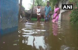 tamil nadu