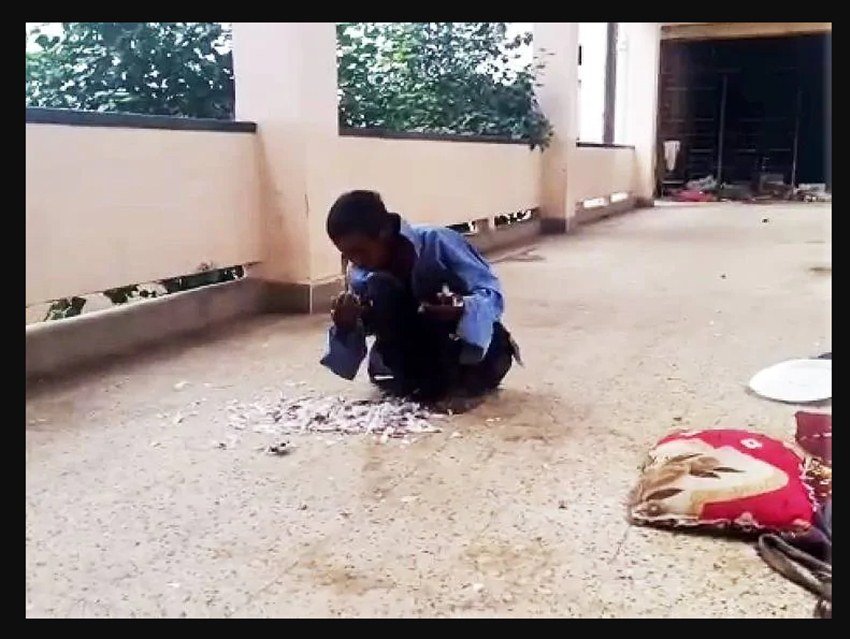 जब उसे खाना नहीं मिला तो उसने पास में बैठे कबूतर को ही खाने लगी। बताया जा रहा है कि वह करीब आधे घंटे तक कबूतर के पंख नोचती रही।