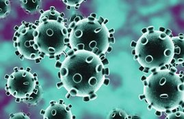 Corona Virus China, India, News in hindi