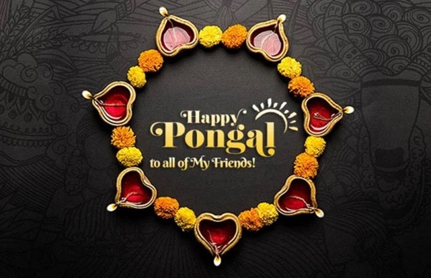happy pongal, happy pongal 2020, happy pongal images, happy pongal kolam, happy pongal images 2020, pongal, pongal 2020, happy pongal images, happy pongal images 2020, happy pongal 2020 status, happy pongal wishes images, pongal images, pongal wishes images, pongal quotes, happy pongal quotes, happy pongal wishes quotes, happy pongal wallpaper, happy pongal video, happy pongal pics, happy pongal photos, happy pongal messages, happy pongal sms, happy pongal wishes sms, hapy pongal wishes messages