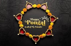 Happy Pongal 2020 Whatsapp Wishes Images, Quotes, Messages: खुशी और उत्साह के साथ पोंगल मनाएं… लोगों को भेजकर ये मैसेज दें शुभकामनाएं