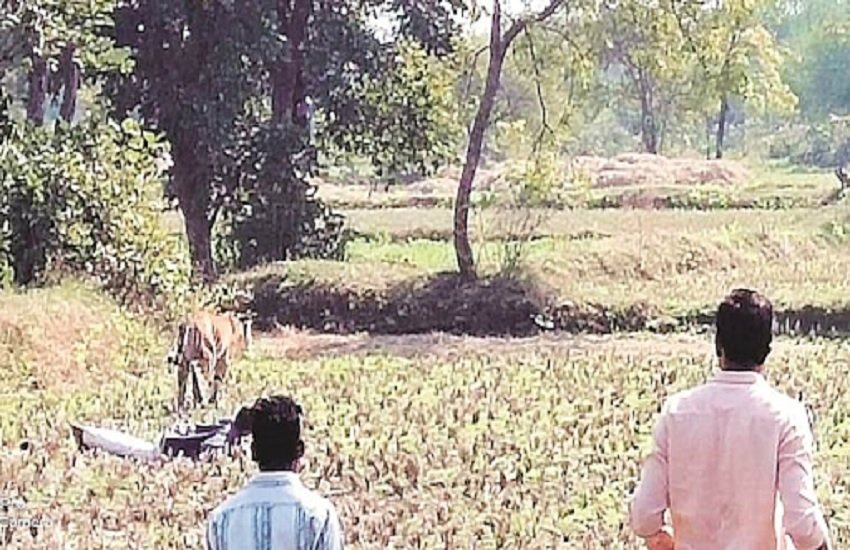 प्रतीकात्मक तस्वीर, फोटो सोर्स - सोशल मीडिया