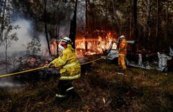 ऑस्ट्रेलिया-न्यूजीलैंड टेस्ट पर धुंध का साया, सिडनी में आग फैलने के डर से लोगों को घर छोड़ने को कहा गया
