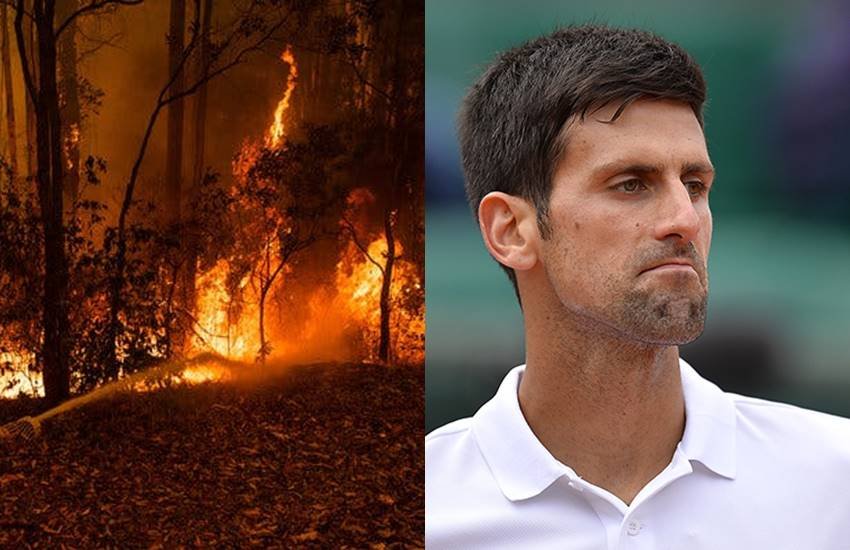 novak jovovich novak jovovich