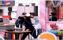 Bigg Boss 13: मधुरिमा को मिलेगी विशाल को फ्राई पैन से पीटने की सजा, सलमान खान करेंगे शो से बाहर!