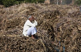 agrarian crisis,agriculture ministry,crop insurance,Farmers,farmers crisis,Latest headlines,latest news,Ministry of Agriculture,Ministry of Agriculture and Farmers Welfare,Modi government,Narendra Modi,News,PM-KISAN